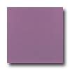 Roca Roca Rainbow 12 X 12 Violeta Tile  &  Stone