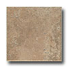 Ragno Ragno Petra 20 X 20 Auratus Tile  &  Stone