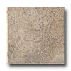 Ragno Ragno Petra 20 X 20 Eburneus Tile  &  Stone