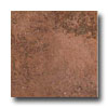 Ragno Ragno Status 18 X 18 Brown Tile  &  Stone