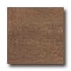 Roca Roca Stratos Orion 24 X 24 Marron Tile  &  Stone