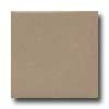 Daltile Daltile Modern Dimensions 4 1 / 4 X 8 1 / 2 Elemental Tan Tile  &  Sto