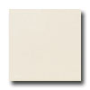 Daltile Daltile Modern Dimensions 4 1 / 4 X 8 1 / 2 Biscuit Matte Tile  &  Sto