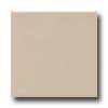 Daltile Daltile Modern Dimensions 4 1 / 4 X 8 1 / 2 Urban Putty Tile  &  Stone