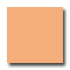 Daltile Daltile Natural Hues 2 X 2 Melon Tile  &  Stone