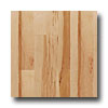 Mullican Mullican Nature Collection 5 Maple Nature Hardwood Flooring