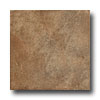 Marazzi Marazzi Cimmaron 18 X 18 Canyon Tile  &  Stone