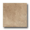 Marazzi Marazzi Cimmaron 18 X 18 Meadow Tile  &  Stone