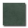 Daltile Daltile Vibe 12 X 24 Light Polished Techno Green Tile  &  Stone