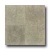 Daltile Daltile Limestone 18 X 18 Honed Caspian Shellstone Tile  &  Stone