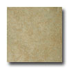 Tarkett Tarkett Fiber Floors Proline - California California 33031 Vinyl
