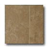 Tarkett Tarkett Fiber Floors Proline - Concord Concord 33003 Vinyl Floor