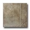 Tarkett Tarkett Fiber Floors Proline - Continental Continental 33042 Vin