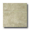 Tarkett Tarkett Fiber Floors Proline - Riverside Riverside 33061 Vinyl F