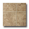 Tarkett Tarkett Fiber Floors Proline - Riverside Riverside 33062 Vinyl F
