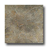 Marazzi Marazzi Sierra Madre 18 X 18 Durango Tile  &  Stone