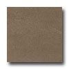 Marazzi Marazzi Tosal 12 X 24 Brown Tile  &  Stone