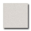 Interceramic Interceramic Metallic Ii 12 X 12 Nickel Tile  &  Stone