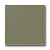 American Olean American Olean Bright 4 X 4 Artichoke Tile  &  Stone