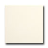 American Olean American Olean Bright 4 X 4 Biscuit Tile  &  Stone