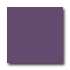 American Olean American Olean Bright 4 X 4 Grape Soda Tile  &  Stone