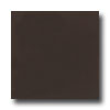 American Olean American Olean Bright 6 X 6 French Roast Tile  &  Stone