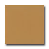 American Olean American Olean Bright 6 X 6 Autumn Leaves Tile  &  Stone