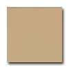 American Olean American Olean Bright 6 X 6 Cappuccino Tile  &  Stone