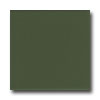 American Olean American Olean Bright 6 X 6 Dill Pickle Tile  &  Stone