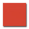 American Olean American Olean Bright 6 X 6 Watermelon Sorbert Tile  &  Stone