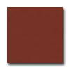 American Olean American Olean Bright 6 X 6 Chili Pepper Tile  &  Stone