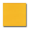American Olean American Olean Bright 6 X 6 Lemon Zest Tile  &  Stone