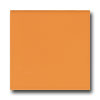 American Olean American Olean Bright 6 X 6 Mandarin Orange Tile  &  Stone