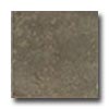 Interceramic Interceramic Hearthstone 4  X 4  Kindling Tile  &  Stone