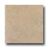 Interceramic Interceramic Hearthstone 6 X 6 Cinder Tile  &  Stone