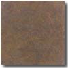 Interceramic Interceramic Sonora 16 X 16 Cotto Tile  &  Stone
