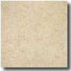 Interceramic Interceramic Breccia 20 X 20 Cremo Tile  &  Stone