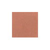 Interceramic Interceramic Ic Brites 4  X 4  Blossom Tile  &  Stone