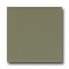 American Olean American Olean Matte 4 X 4 Matte Artichoke Tile  &  Stone