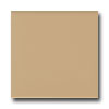 American Olean American Olean Matte 6 X 6 Matte Cappuccino Tile  &  Stone