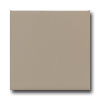 American Olean American Olean Matte 6 X 6 Matte Mushroom Tile  &  Stone