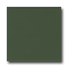 American Olean American Olean Matte 6 X 6 Matte Dill Pickle Tile  &  Stone