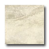 Orchid Ceramics Orchid Ceramics Chisel 18 X 18 Desert Beige Tile  &  Stone