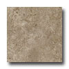 Orchid Ceramics Orchid Ceramics Sculpt 6 X 6 Toscano Noce Tile  &  Stone