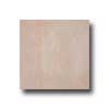 Interceramic Interceramic Cementi Ii 23 X 23 Canvas Tile  &  Stone