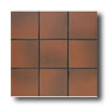 American Olean American Olean Quarry Tile Abrasive 4 X 8 Ember Flash Tile  &  Sto