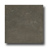 American Florim American Florim Woodlands 18 X 18 Winter Hill Tile  &  Stone