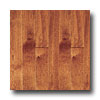 Preverco Preverco Engenius 5 3 / 16 Yellow Birch Select Extra Sierra Hardwo