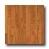 Robbins Robbins Urban Exotics Collection Plank Cherry 3 1 / 4 Natural Hard