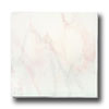 Alfagres Alfagres Marbleized 18 X 18 Verona Tile  &  Stone